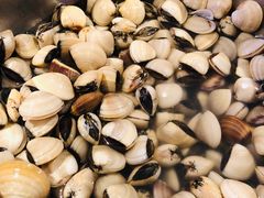 -味餐厅·海鲜·火锅·自助餐