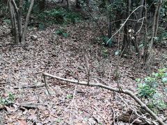 -紫金山索道-售票处