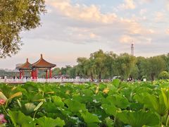 -长春市南湖公园