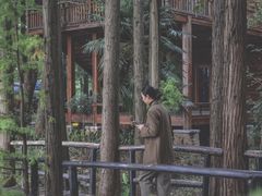 -东湖落雁景区