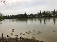 -艾溪湖湿地公园