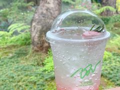 野莓气泡水-Chom Cafe and Restaurant