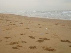 -日照海滨国家森林公园