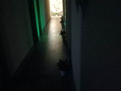 -迈格笙SPA·影院式足道·采耳(金桥店)