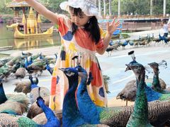 -西双版纳原始森林公园