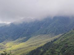-黄龙山原始森林景区