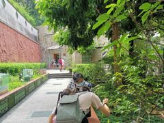 -广州神农草堂中医药博物馆