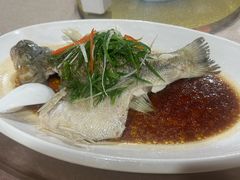 -鲤鱼塘农家山庄