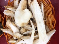 松茸菌-菌粹源野生菌(木水花市场店)