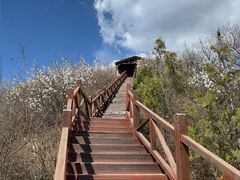 -大岭沟猕猴桃谷风景区