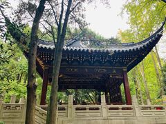 -汇龙潭
