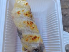 -内涵饵块