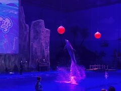 -华夏文旅海洋公园