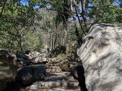 -大岭沟猕猴桃谷风景区