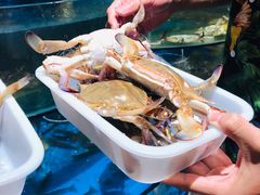 -蓝珊甄选海鲜自助·火锅大排档(近阿那亚店)