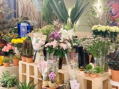 -PlantsEatery·植物食堂(REX春熙店)