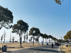 -漕湖湿地公园