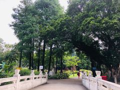 -晓港公园