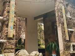 -南山植物园