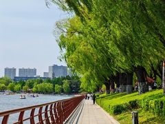 -长春市南湖公园