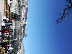 -北京植物园-展览温室