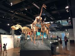 -墨尔本博物馆(Melbourne Museum)