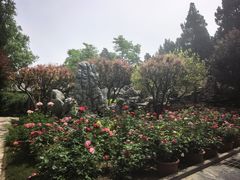 -北京市劳动人民文化宫(太庙)