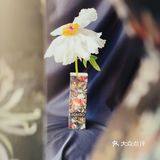 拍照技巧｜模仿杂志，用手机拍大片