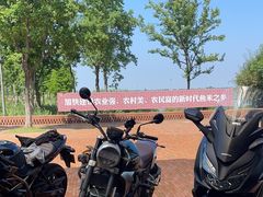 -祝甸砖窑文化馆