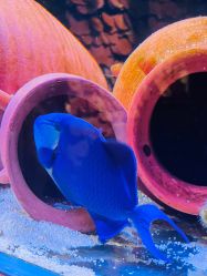 -Zoolung Zoolung动物主题公园(海信广场店)