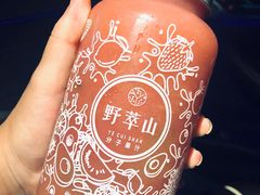 -野萃山·潮汕厚果汁(十亩地店)