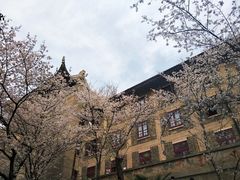 -武汉大学-樱园