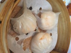 -喜粤8号(四海唐人街店)