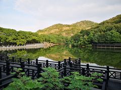 -白马涧龙池景区
