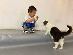 -松果猫咖(桐乡吾悦金街店)