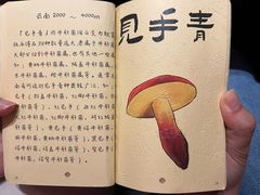 -滇野云南野生菌餐厅(陕西南路店)