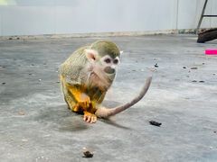 -西安秦岭野生动物园