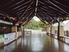 -东寨港红树林旅游区