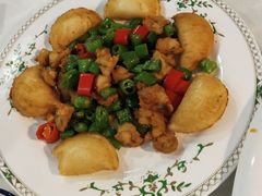 特色掌中宝-云中小雅