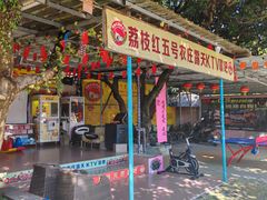 -荔枝红五号农庄