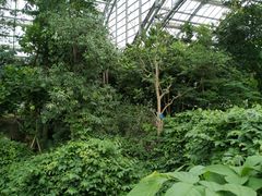 -南山植物园