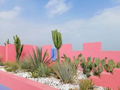 -漳州滨海火山岛自然生态风景区