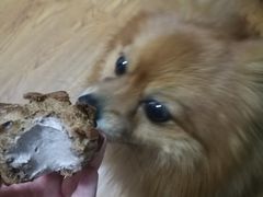 -BOKE博稞烘焙(天佑城店)