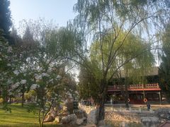 -莲池书院博物馆