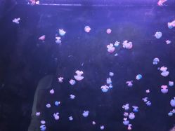 点击看大图 -Zoolung Zoolung动物主题公园(海信广场店)