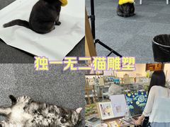 -八哥美术·成人美术画室(总校区)
