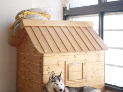 -Husky Go! 哈士奇体验馆·宠物咖啡厅狗咖