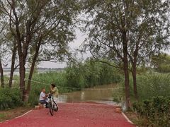 -绿堤公园
