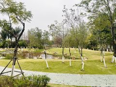-厦门园林博览苑