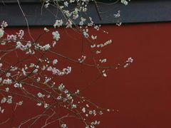 -钱王祠